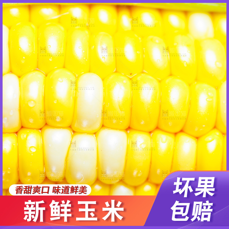 云南水果甜玉米放在木底上