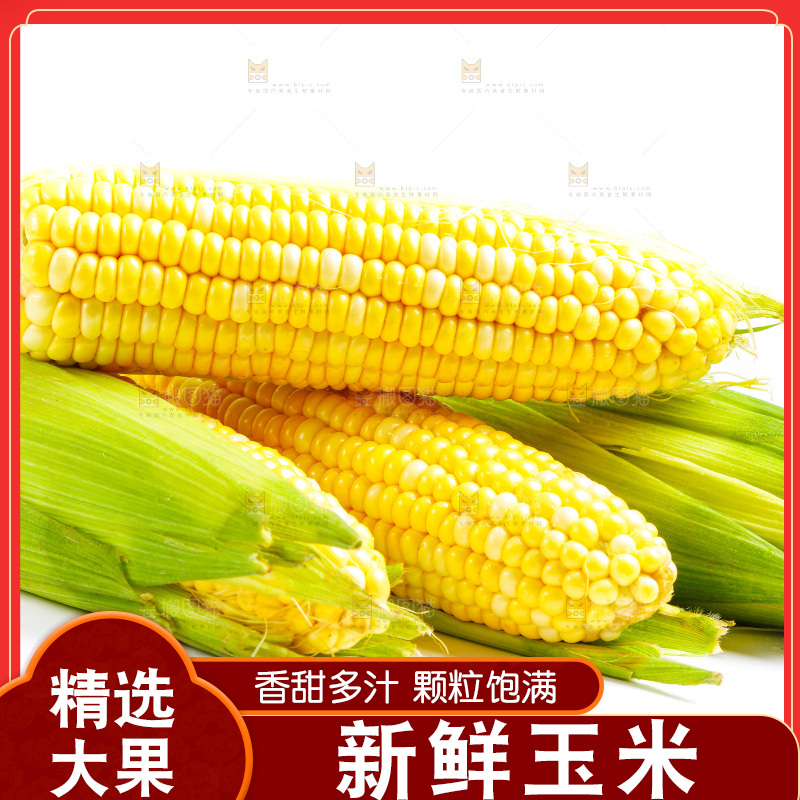白底上放着甜玉米