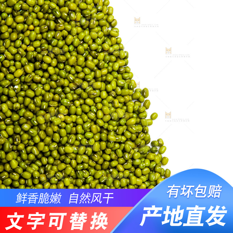 新鲜绿豆放在白底上