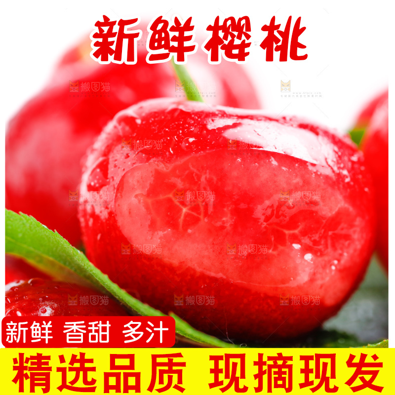 白底上的新鲜樱桃