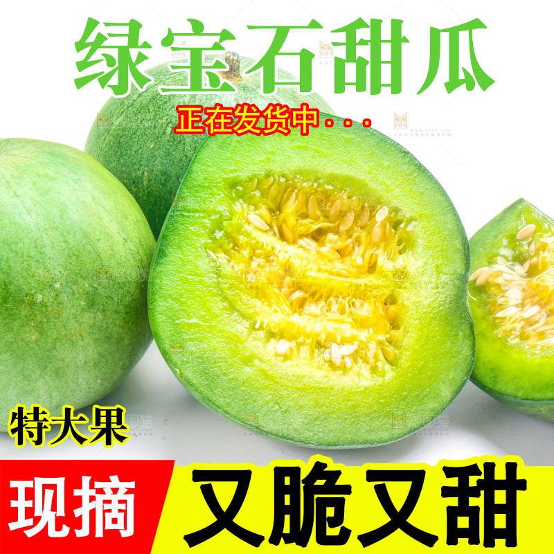 山东绿宝甜瓜放在白底上