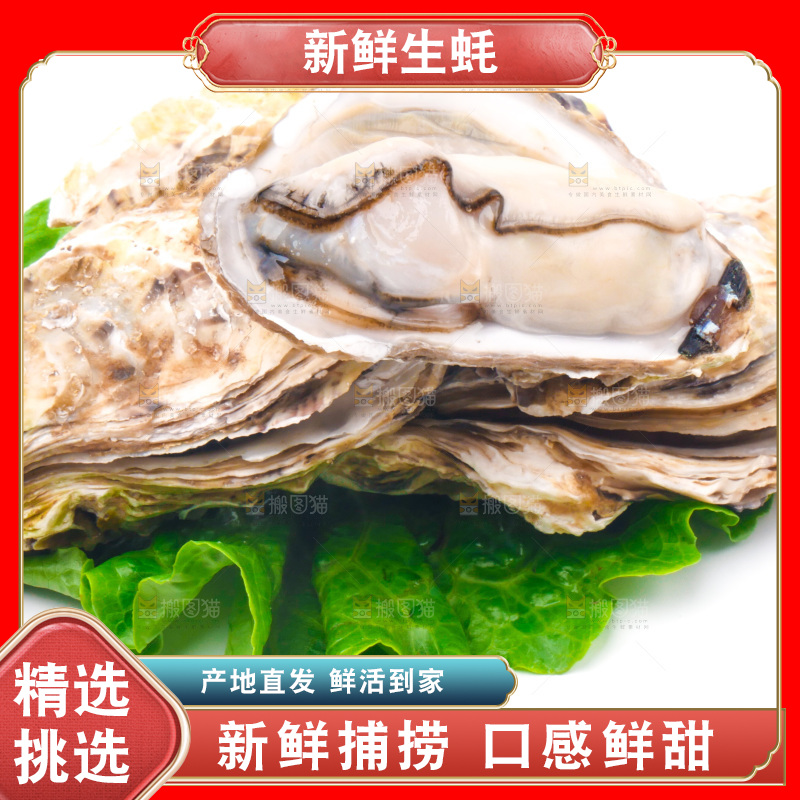 白底上放着乳山生蚝
