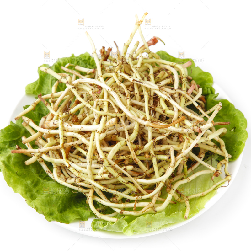 一盘凉拌鱼腥草放在白底上