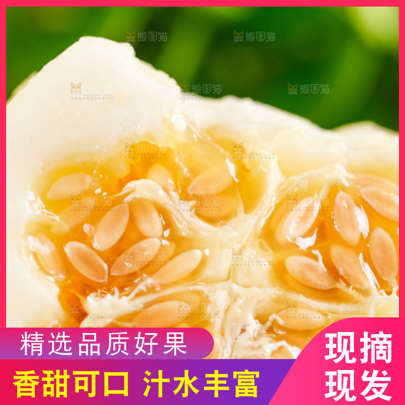 木底上放着切开的阎良甜瓜