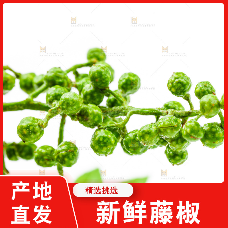 白底上的新鲜藤椒