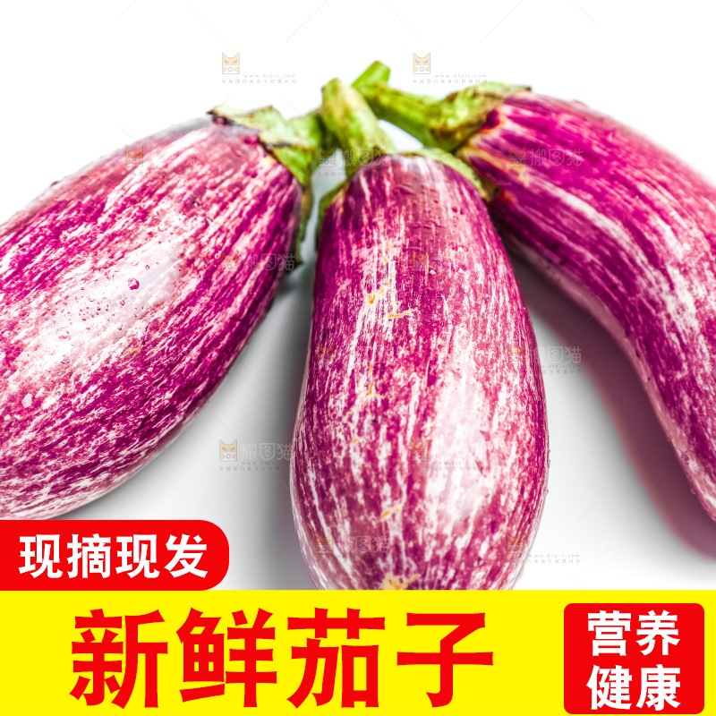新鲜茄子放在白底上