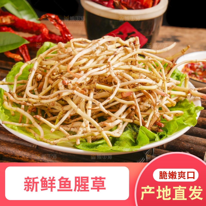木底上放着一盘鱼腥草