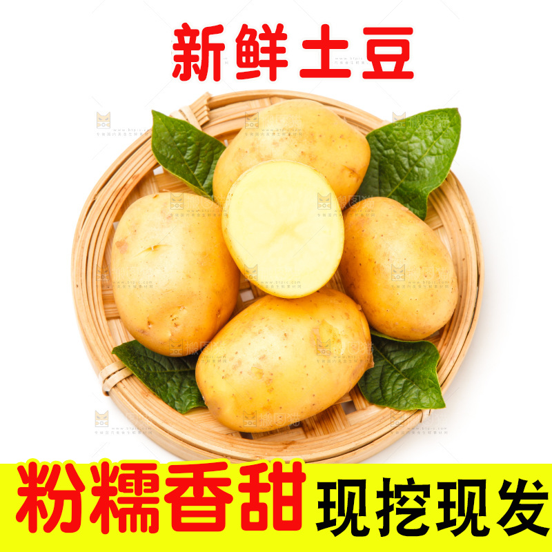 一盘新鲜土豆放在白底上