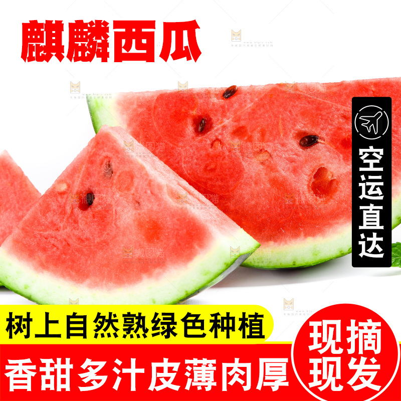 白底上放着8424麒麟瓜