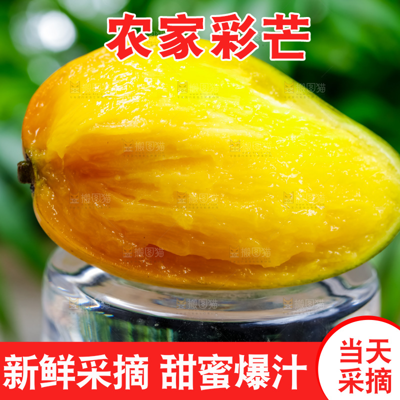 浅底上的彩芒
