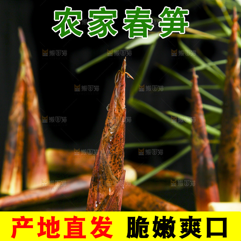 深底上的春笋