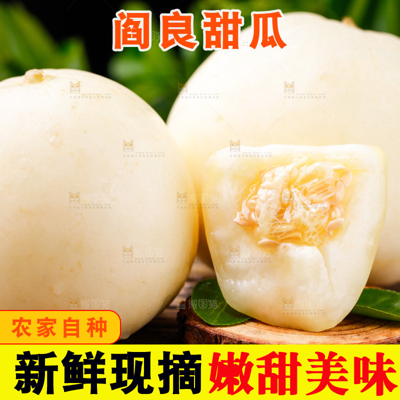 木底上的阎良甜瓜