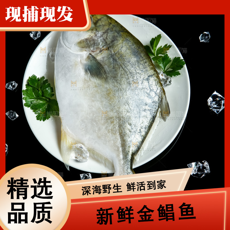 黑底上放着一盘金鲳鱼