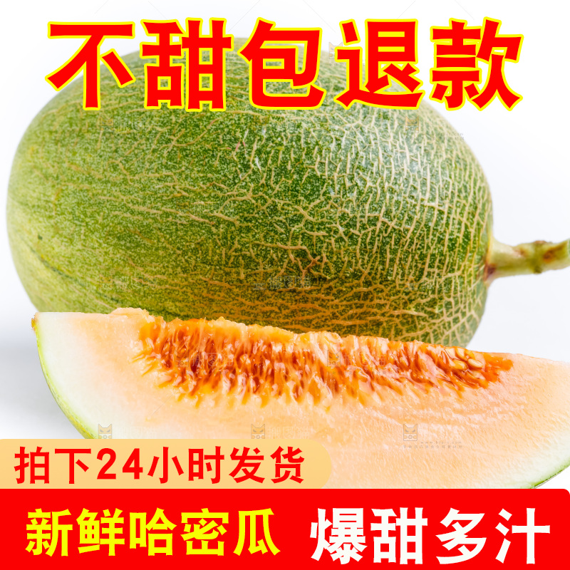 白底上的哈密瓜
