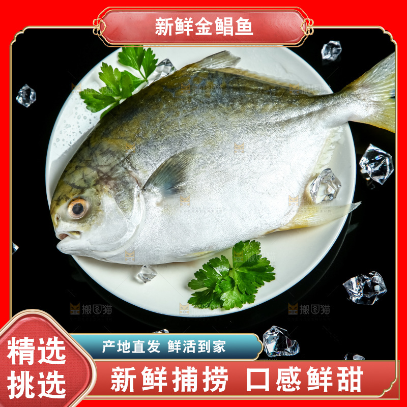 黑底上放着一盘金鲳鱼