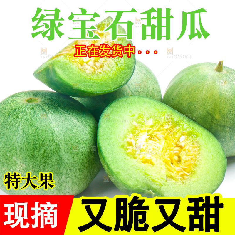 山东绿宝甜瓜放在白底上