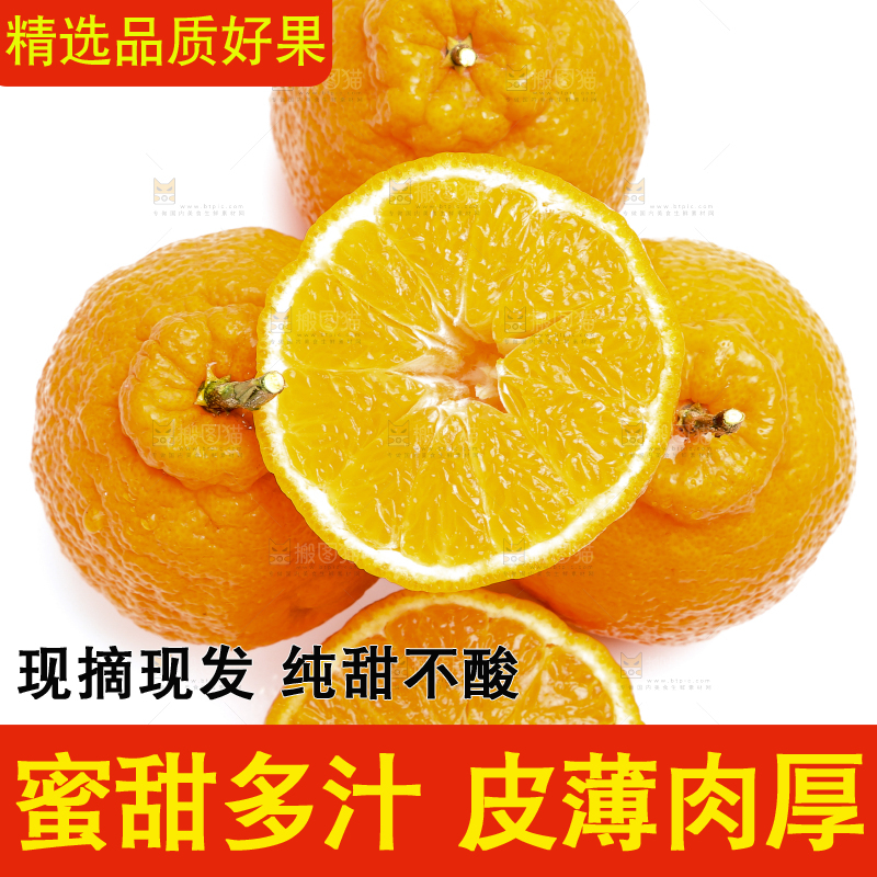 切开的四川丑橘放在白底上