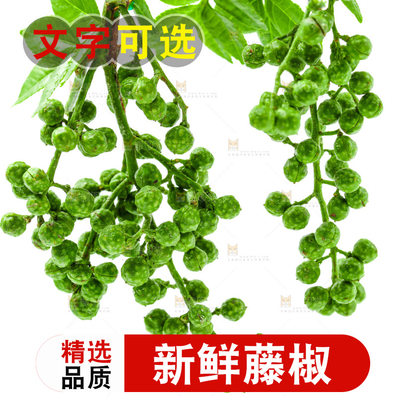 白底上的新鲜藤椒