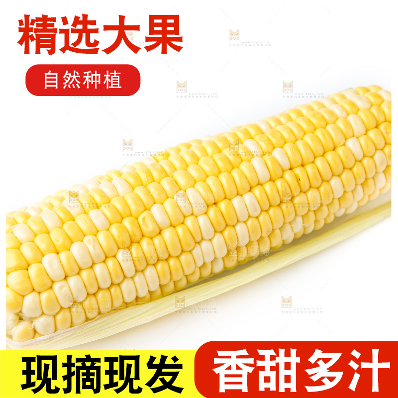 白底上的水果玉米