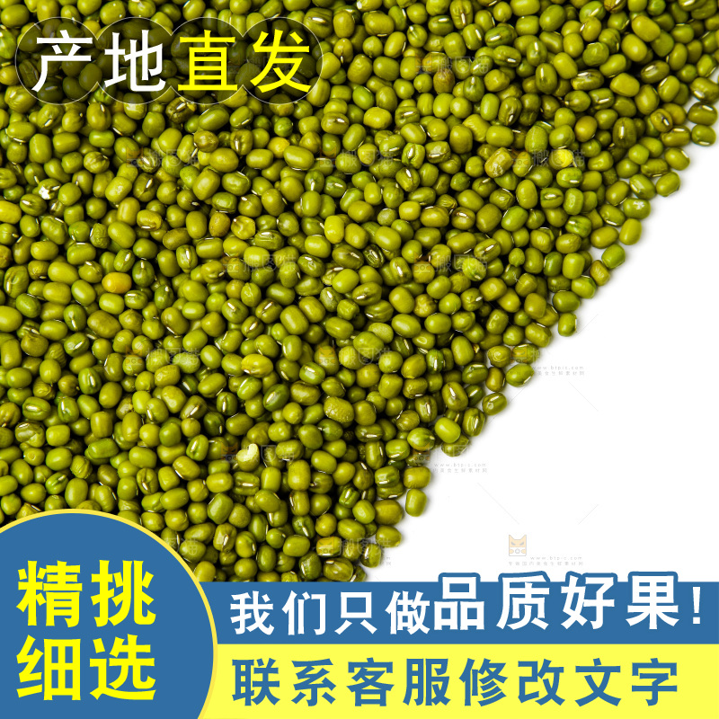 新鲜绿豆放在白底上