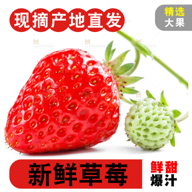 白底上的草莓