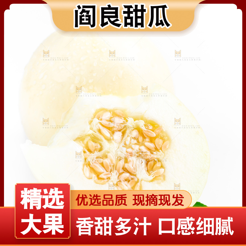 新鲜阎良甜瓜放在白底上