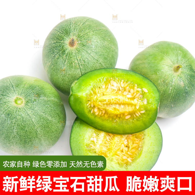 山东绿宝甜瓜放在白底上
