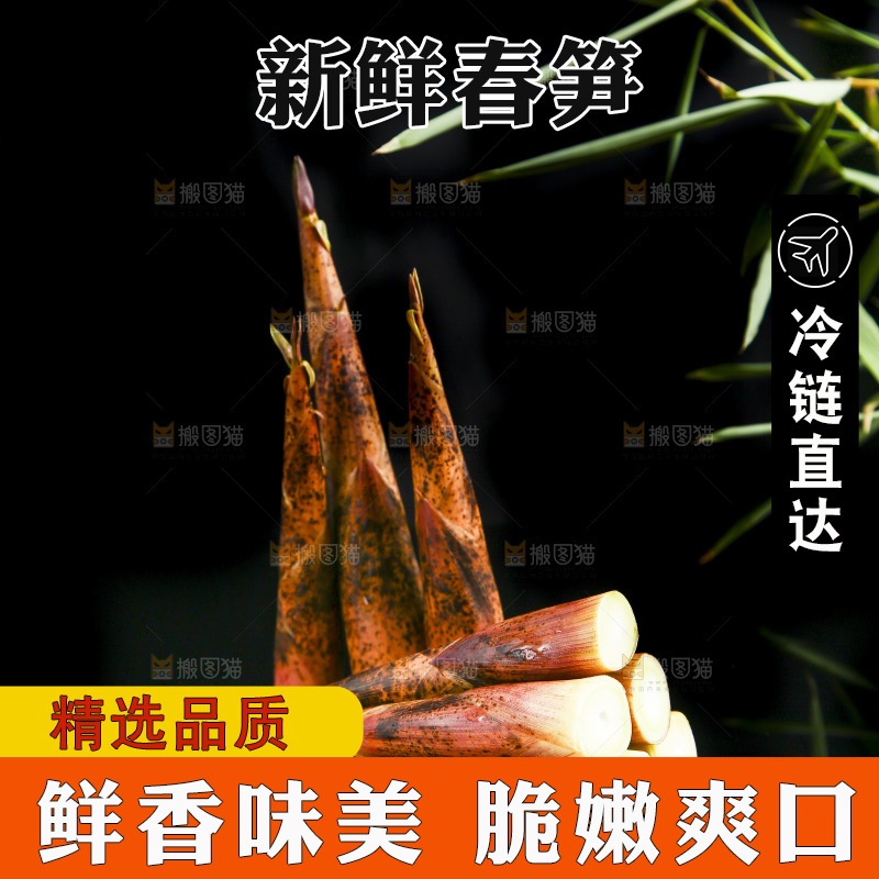 黑底上的春笋