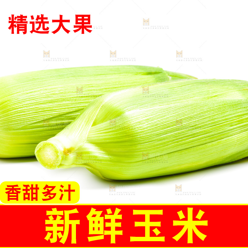 白底上放着新鲜玉米