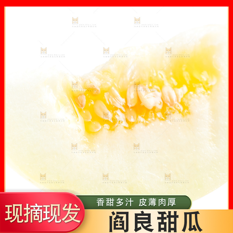 新鲜阎良甜瓜放在白底上
