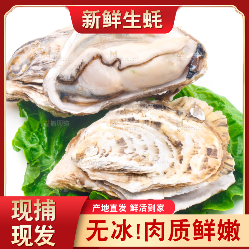 白底上放着乳山生蚝
