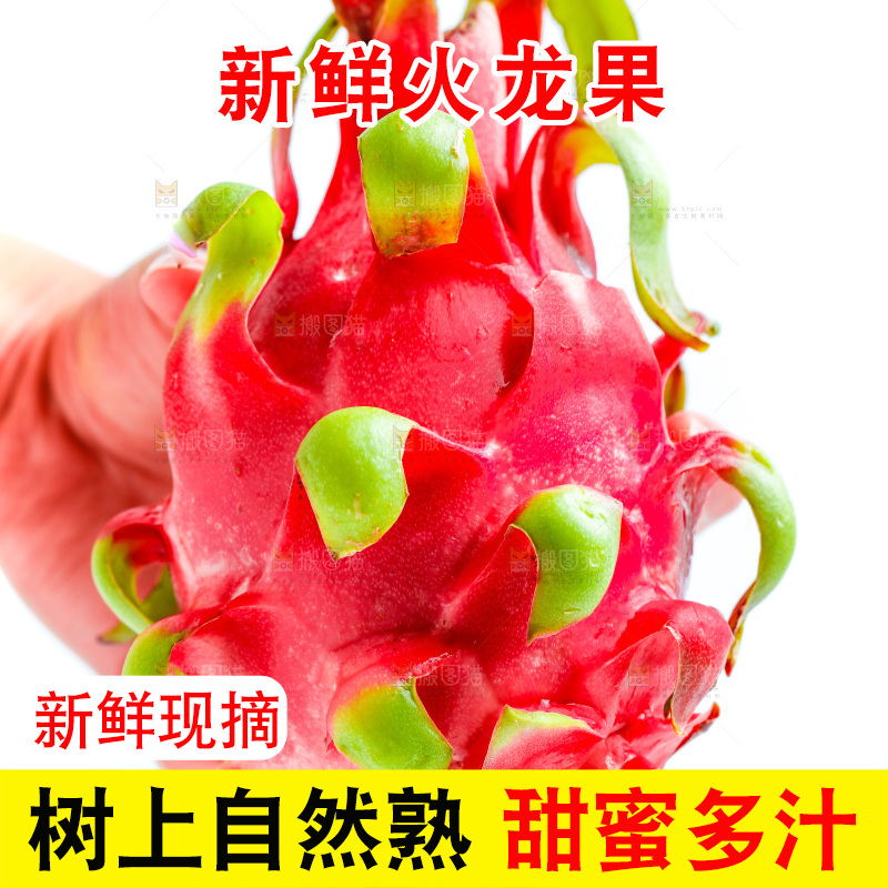 手拿火龙果