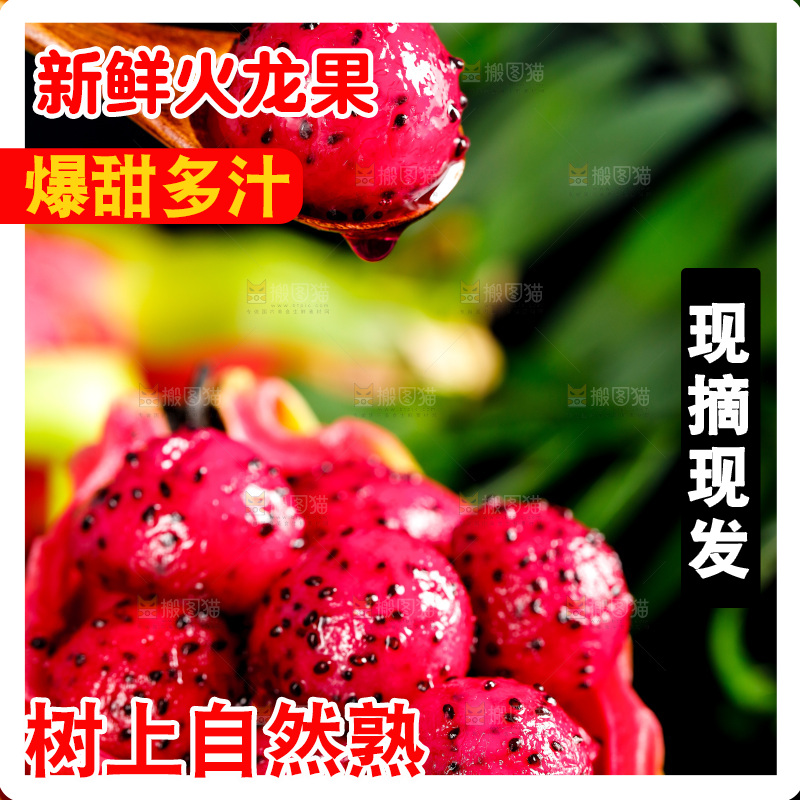 勺子里装着红心火龙果