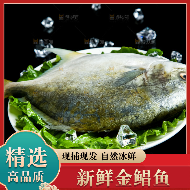 黑底上放着一盘金鲳鱼