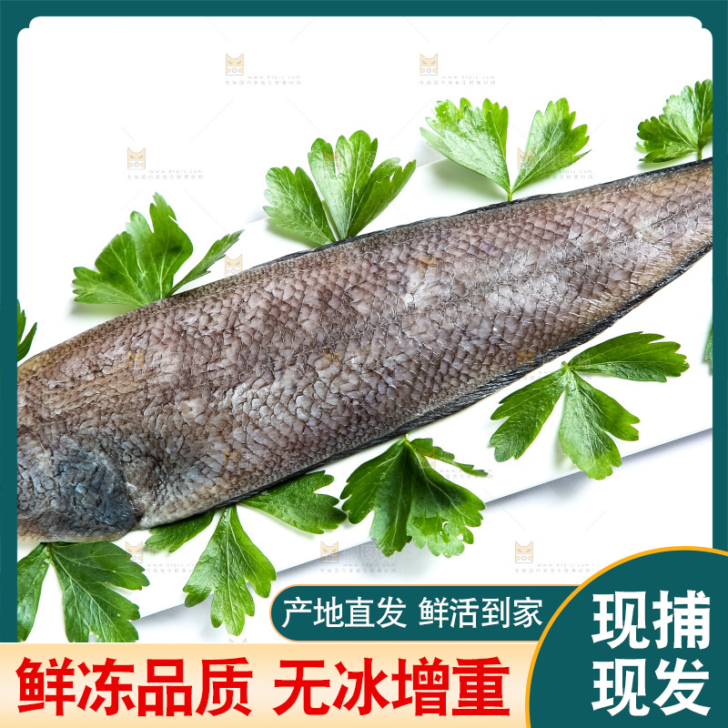 白底上放着一盘龙利鱼