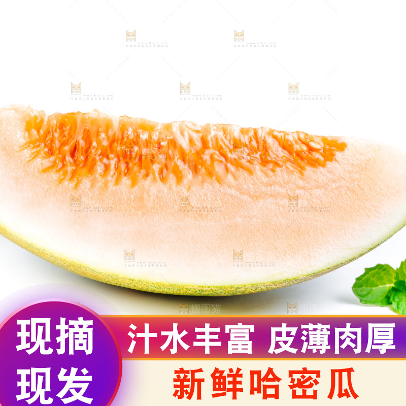 白底上的哈密瓜