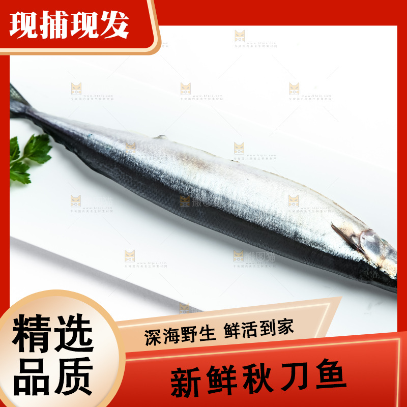 白底上放着一盘秋刀鱼