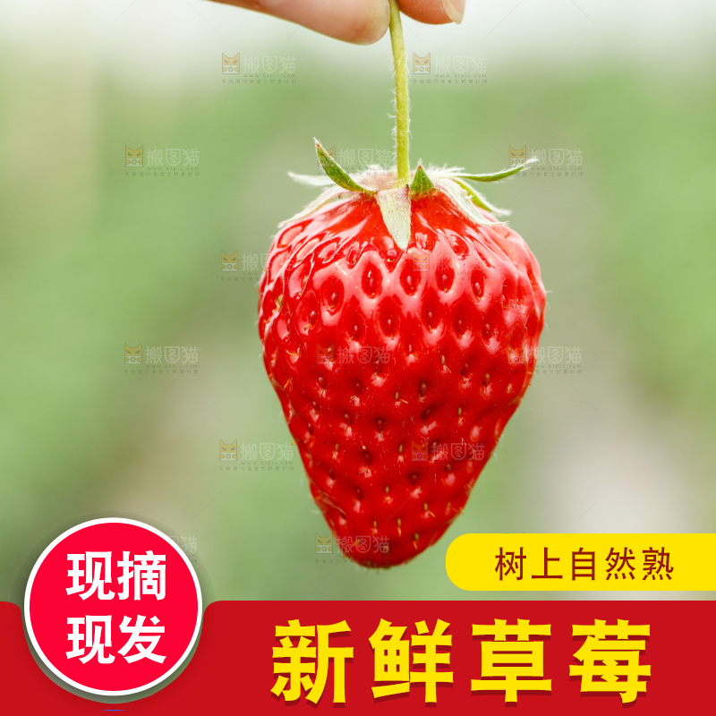手拿草莓