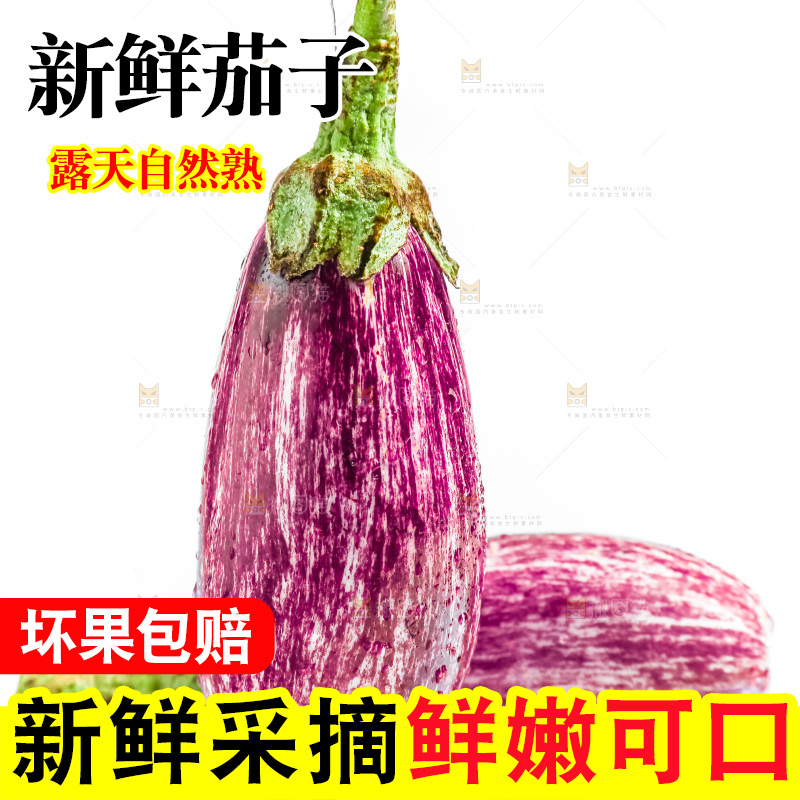 白底上的茄子