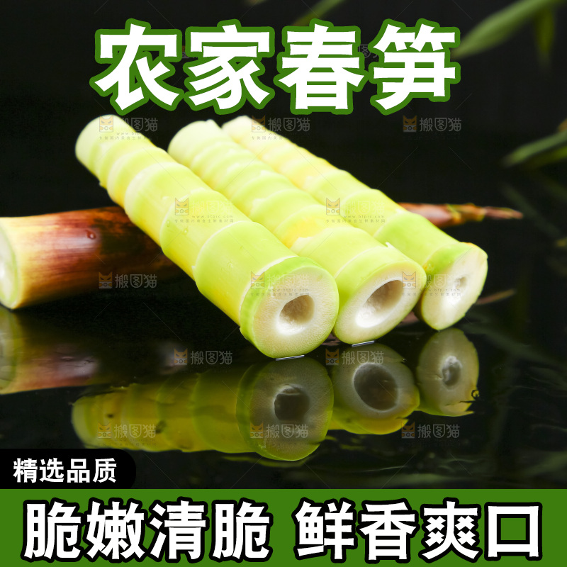 黑底上放着临安春笋
