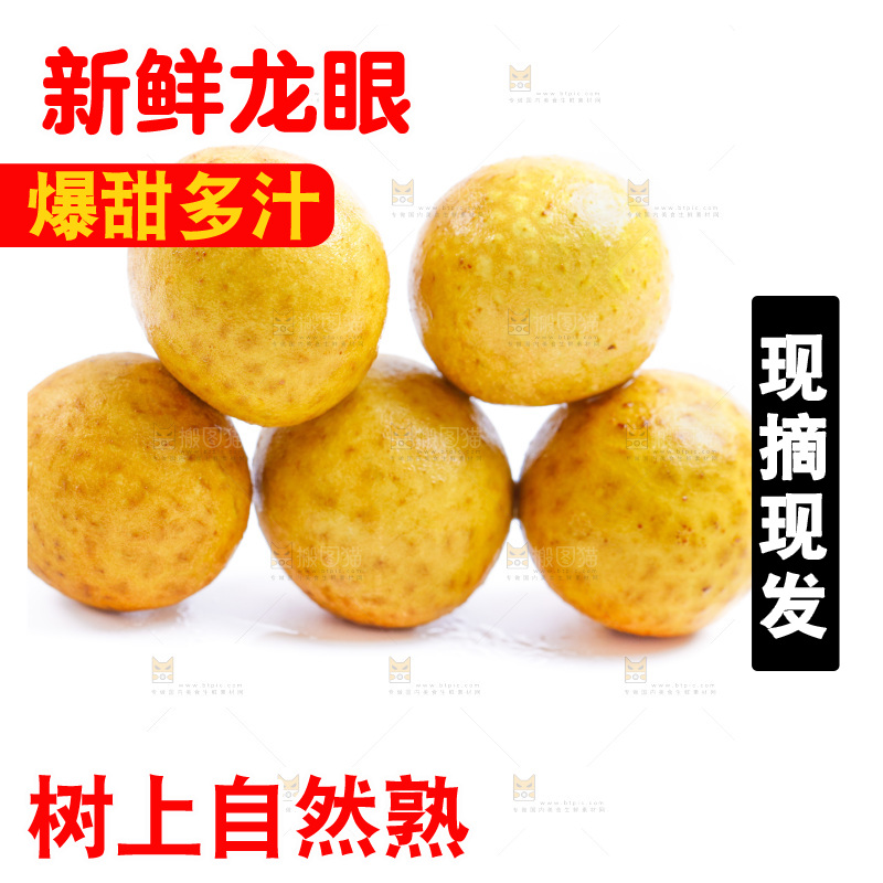 白底上的龙眼
