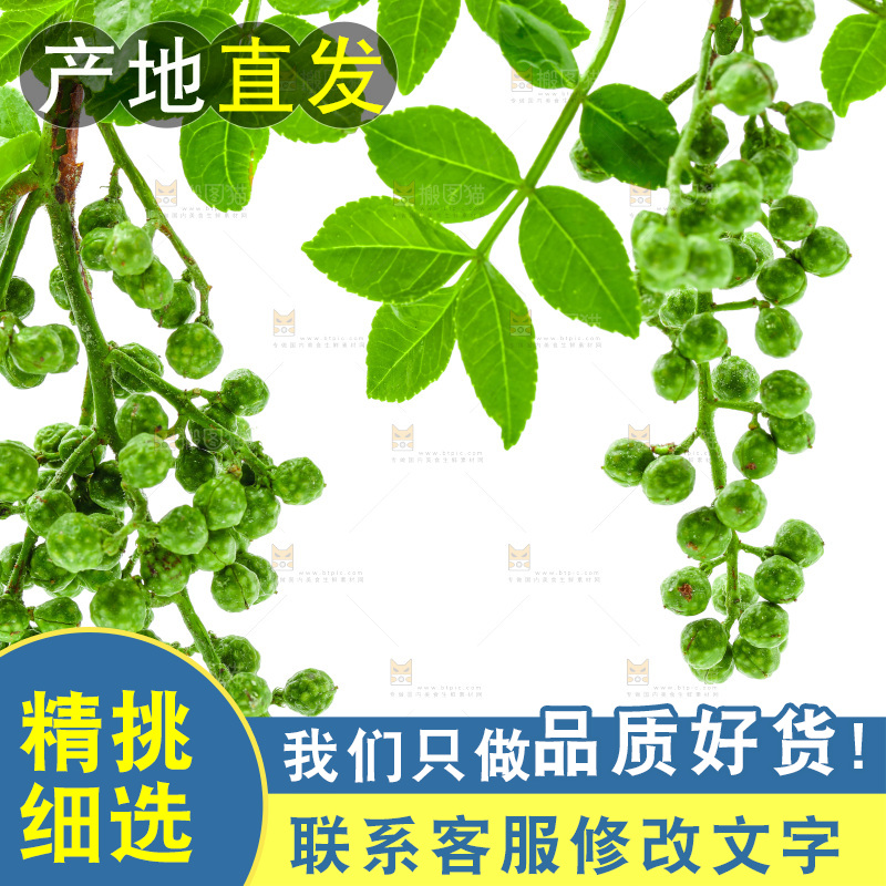 白底上的新鲜藤椒