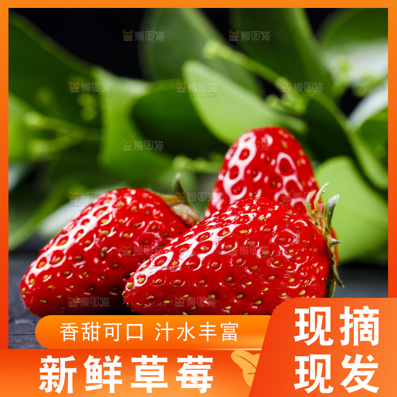 深底上放着99草莓
