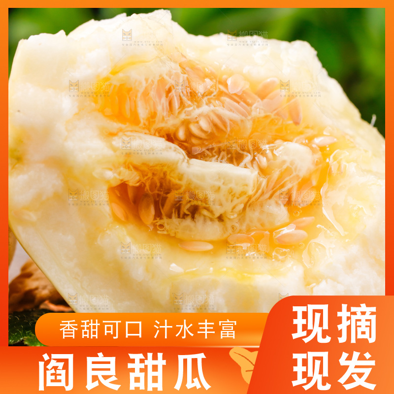 新鲜阎良甜瓜放在木底上