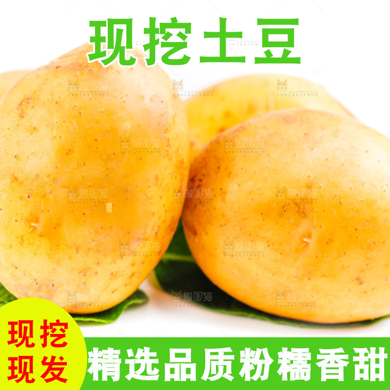 白底上的土豆