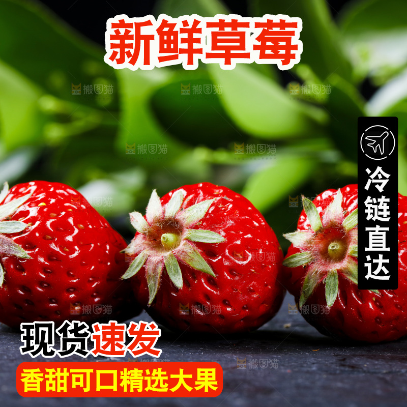 丹东草莓放在深底上
