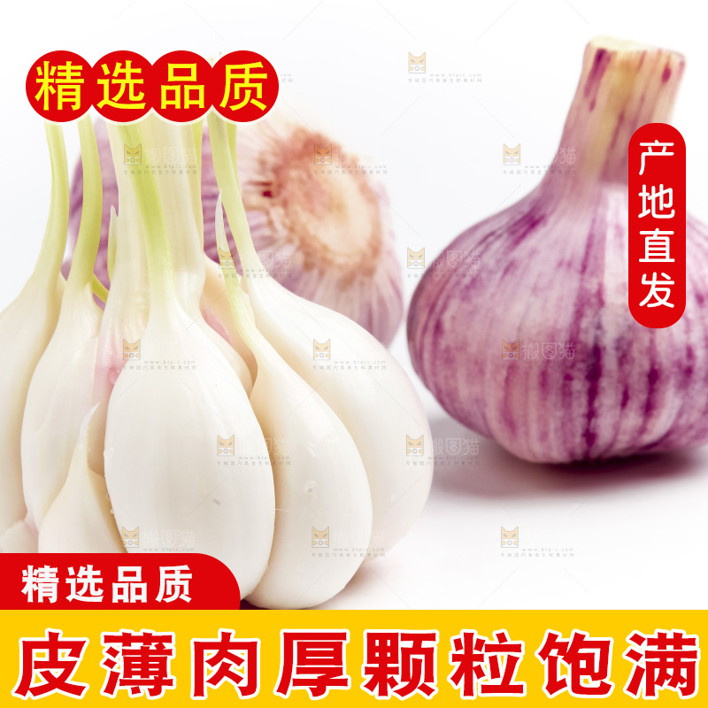 白底上放着多瓣蒜