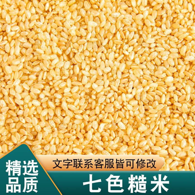 东北糙米放在白底上