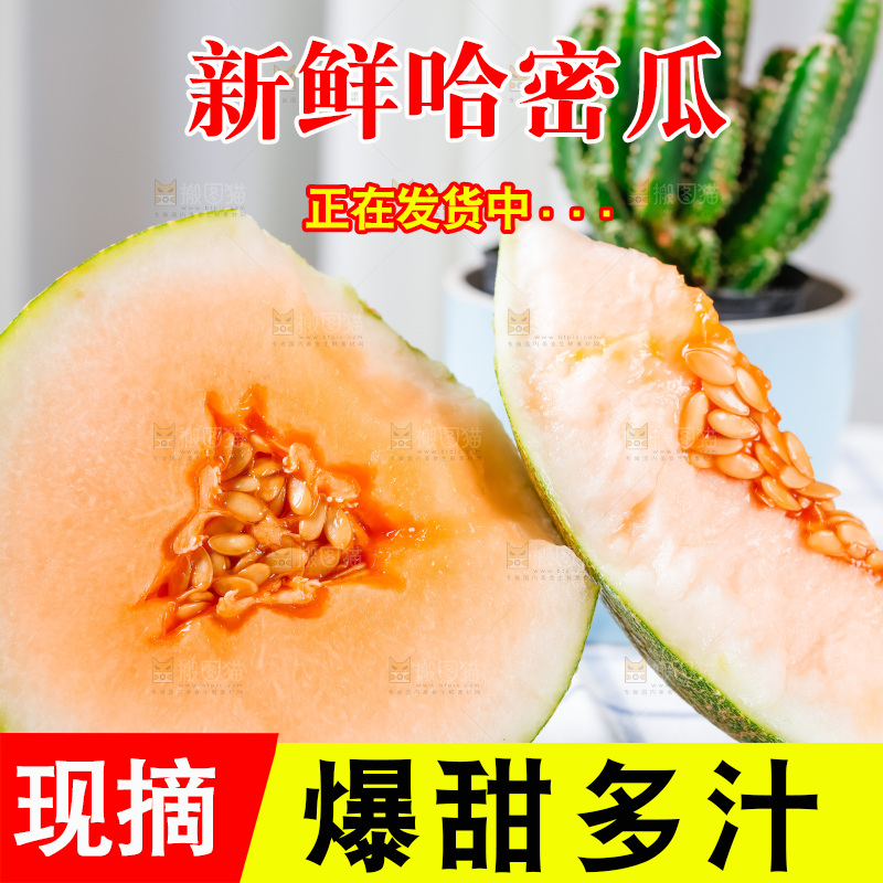 格子布上放着新鲜哈密瓜