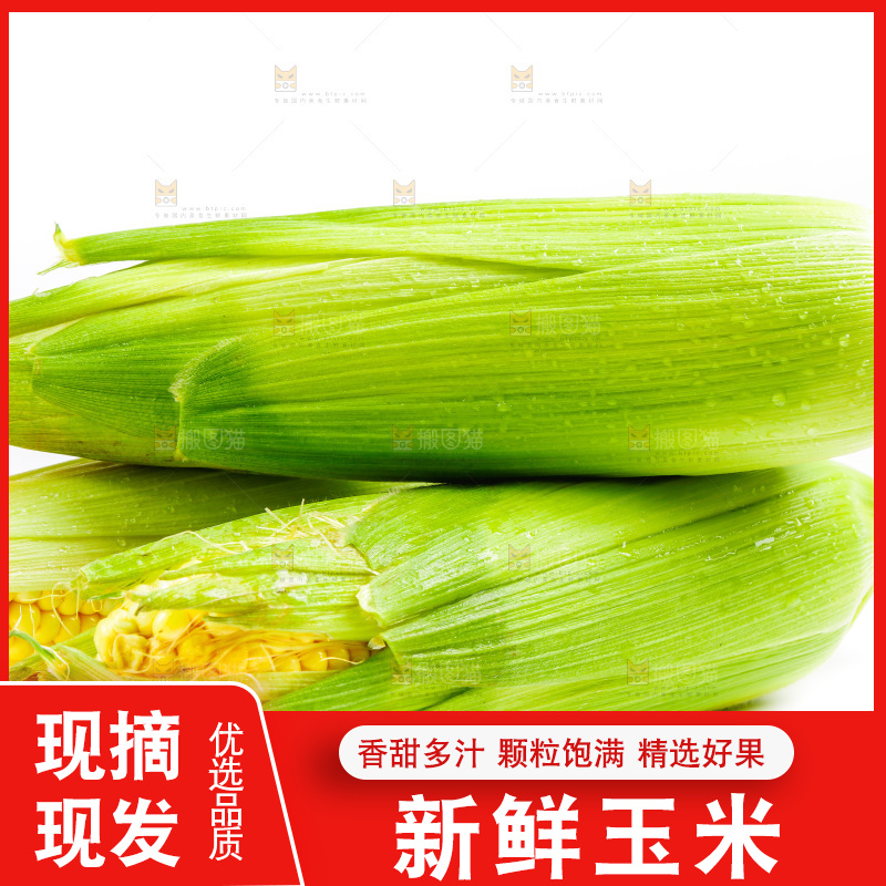白底上放着新鲜玉米